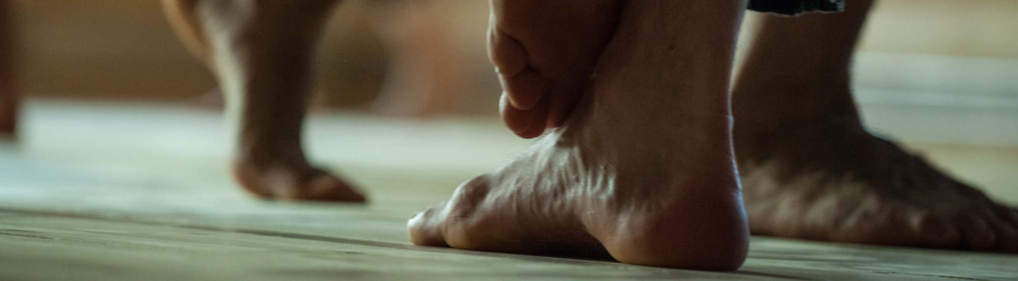 Amber Law Holistic Lawyer