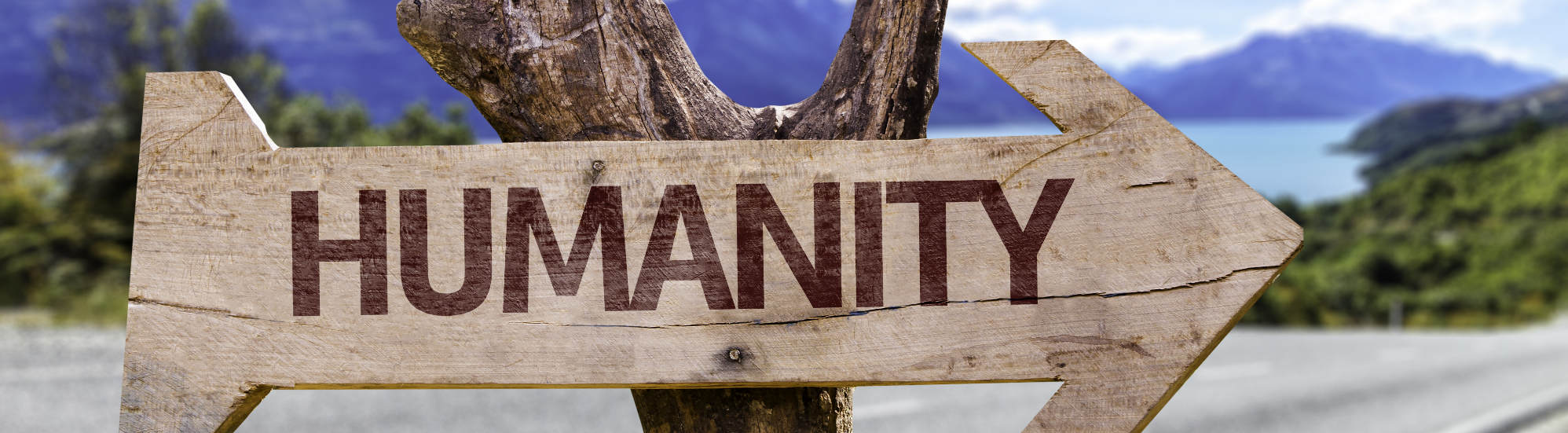 Amber Law Holistic Lawyer