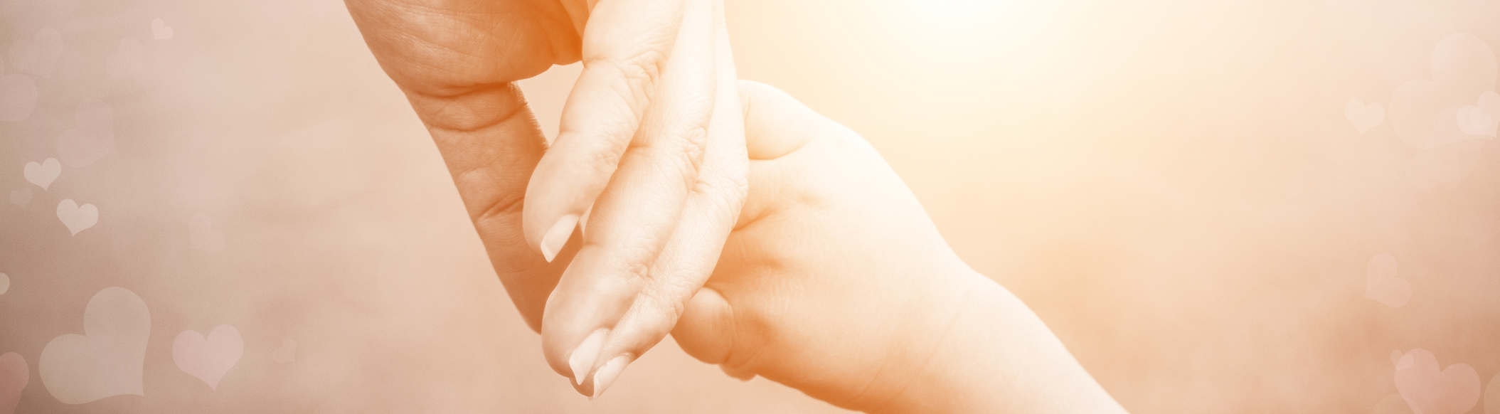 Amber Law Holistic Lawyer