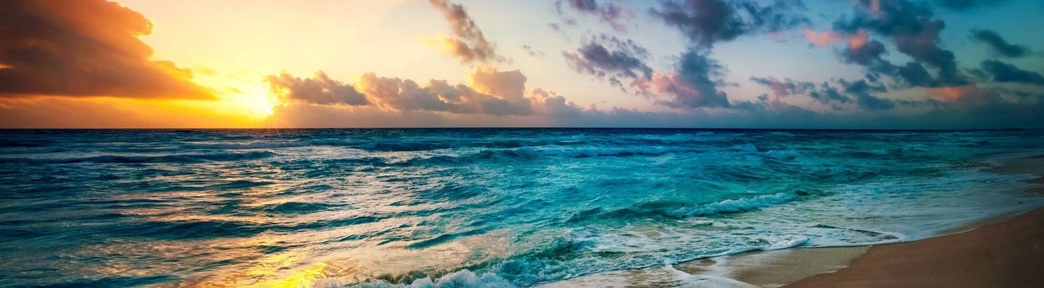 Amber Law Holistic Lawyer